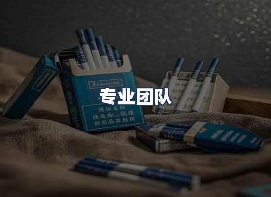 专业团队